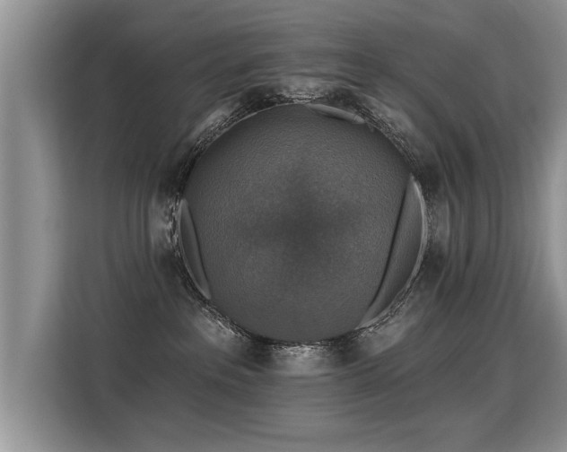 X0000115360237200911101203
