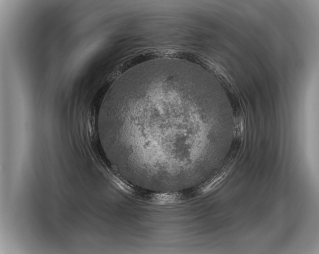 X0000115360238200911101203