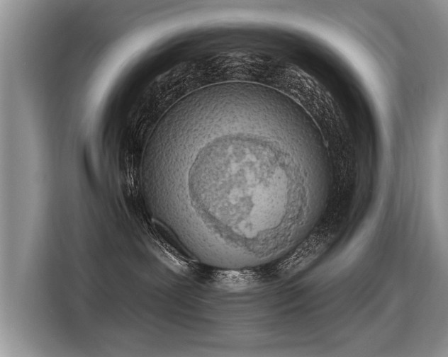 X0000115360239200911101203