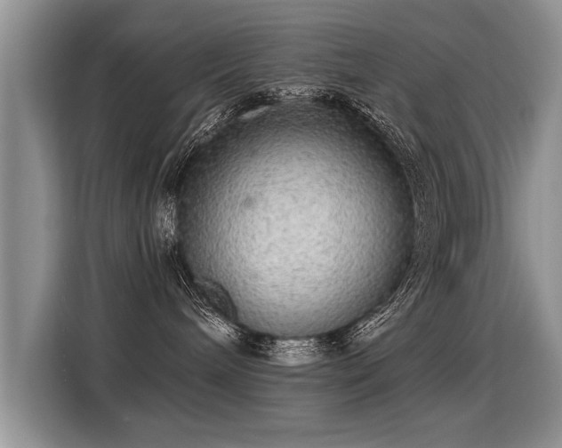 X0000115360240200911101203