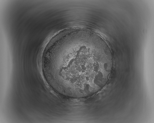 X0000115360241200911101202