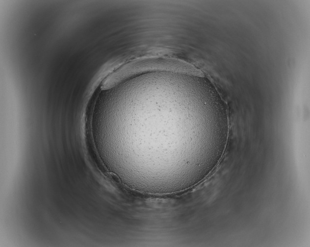 X0000115360242200911101202