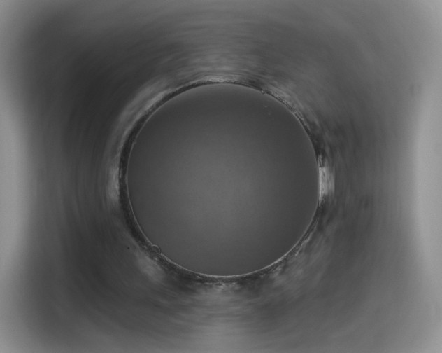 X0000115360243200911101202