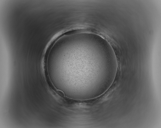 X0000115360244200911101202