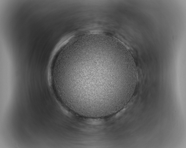 X0000115360245200911101202