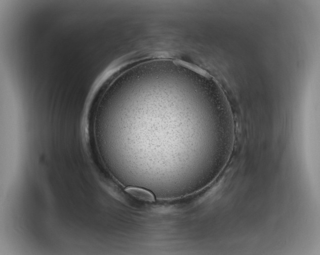 X0000115360246200911101202