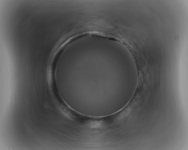 X0000115360247200911101202