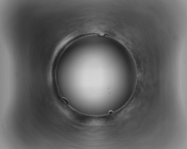 X0000115360248200911101202