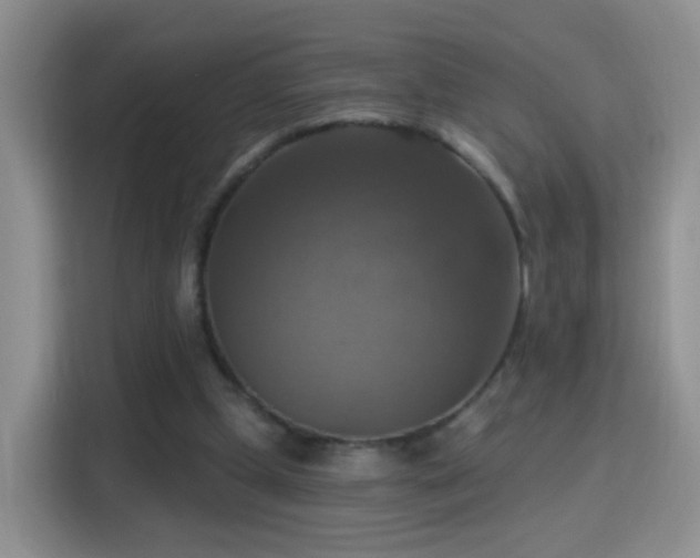 X0000115360249200911101202