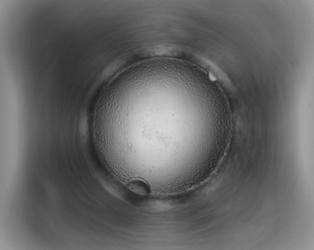 X0000115360250200911101202