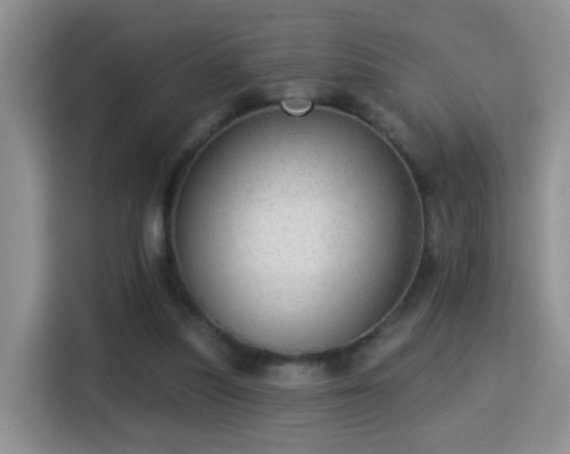 X0000115360251200911101202