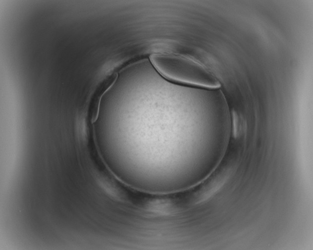 X0000115360252200911101202