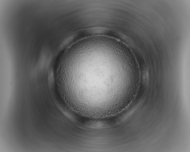 X0000115360254200911101202