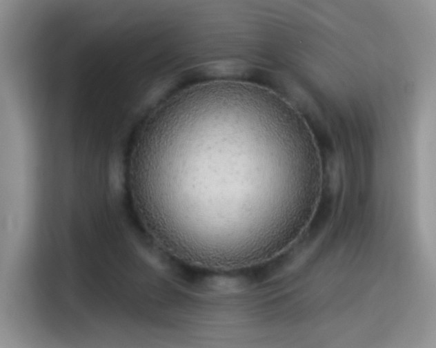 X0000115360255200911101202