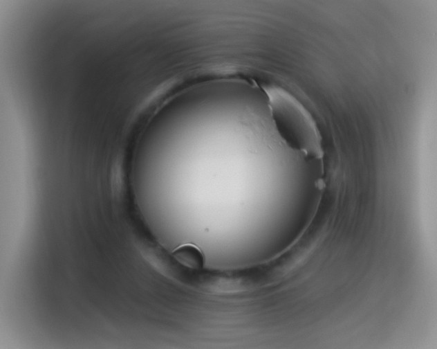 X0000115360256200911101202