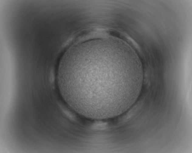 X0000115360257200911101202