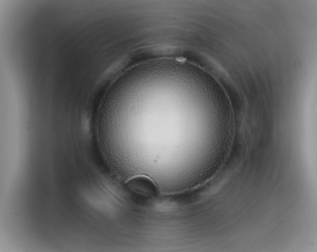 X0000115360258200911101202