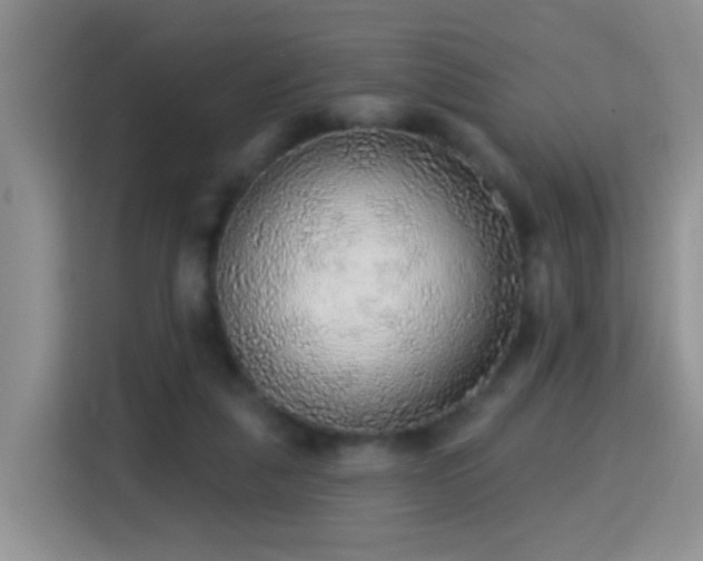 X0000115360259200911101202