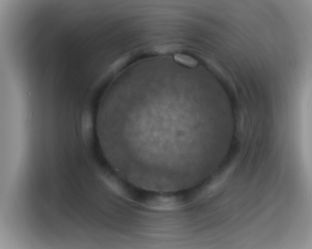 X0000115360260200911101202
