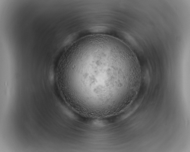 X0000115360261200911101202