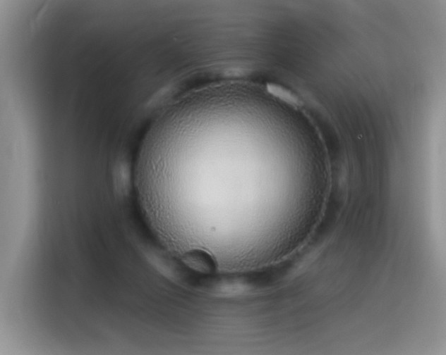 X0000115360262200911101202