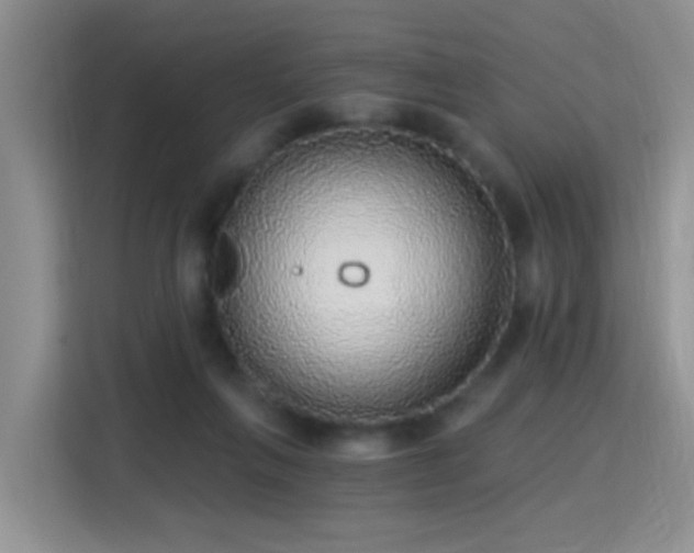 X0000115360263200911101202
