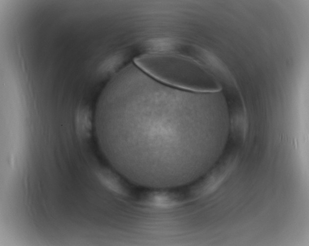X0000115360264200911101202