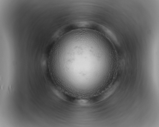 X0000115360265200911101202