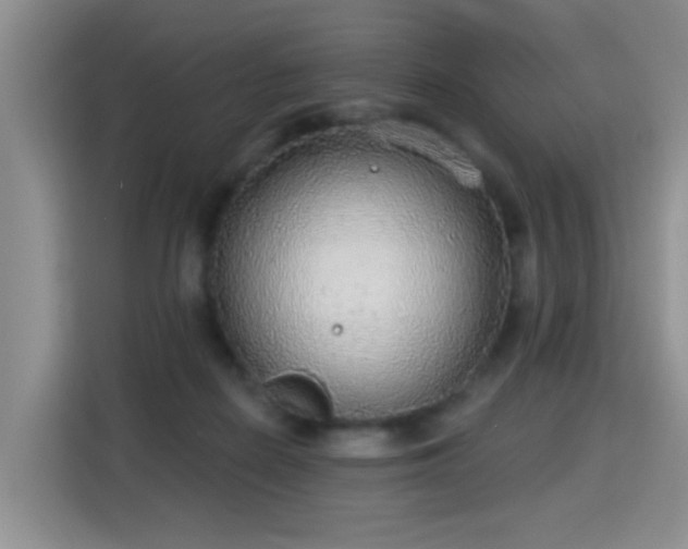 X0000115360266200911101202