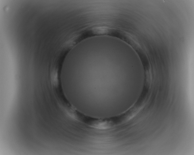 X0000115360267200911101202