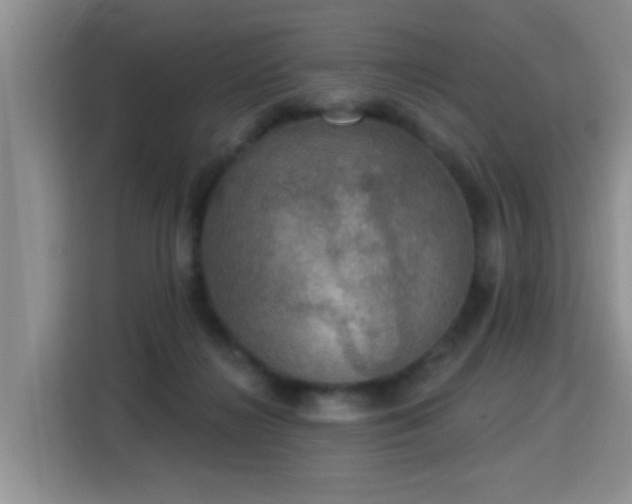 X0000115360268200911101202