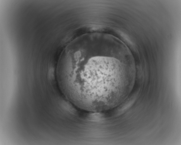 X0000115360269200911101203