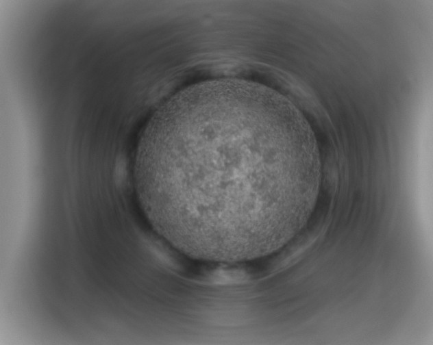 X0000115360270200911101203