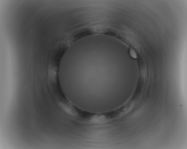 X0000115360271200911101203