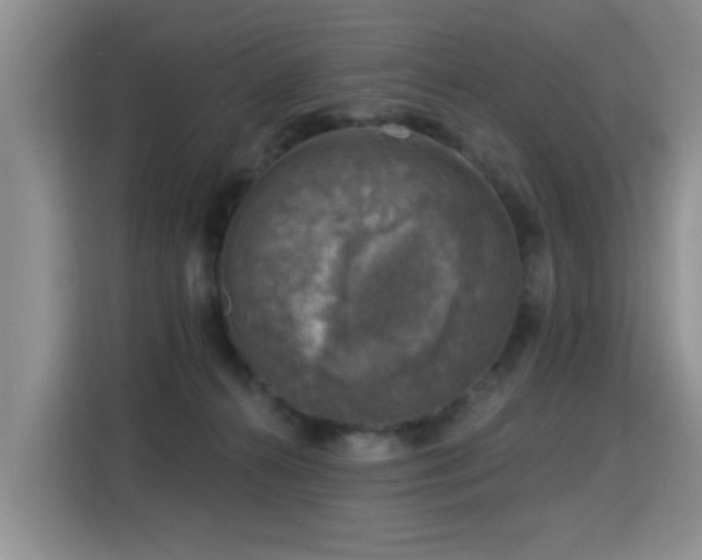 X0000115360272200911101203