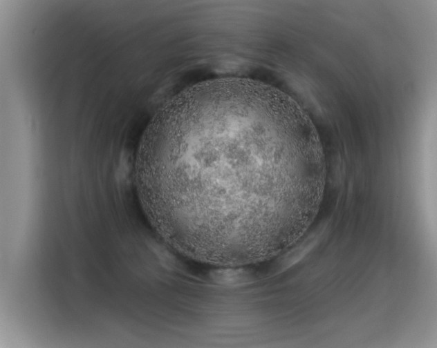 X0000115360273200911101203