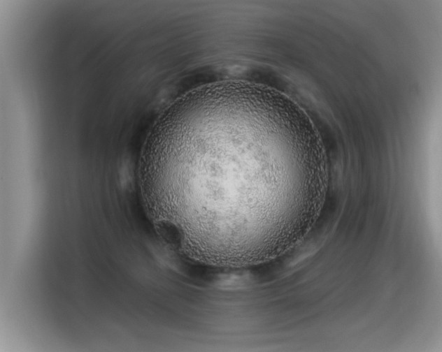 X0000115360274200911101203