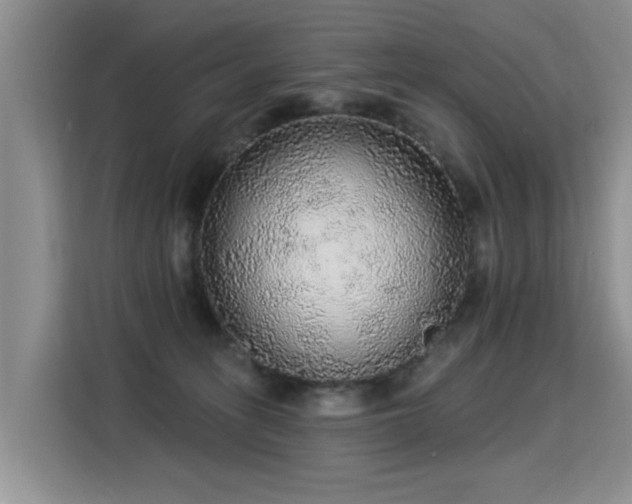 X0000115360275200911101203