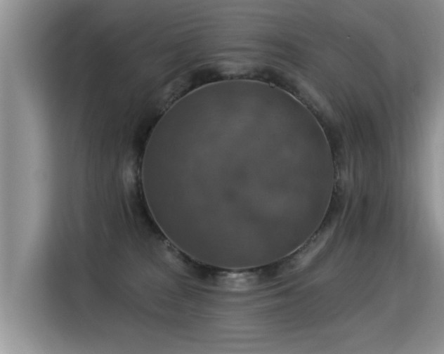 X0000115360277200911101203