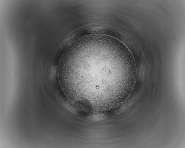 X0000115360278200911101203