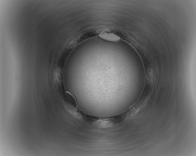 X0000115360280200911101203