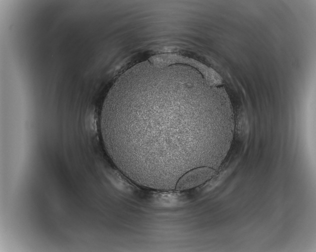 X0000115360282200911101203