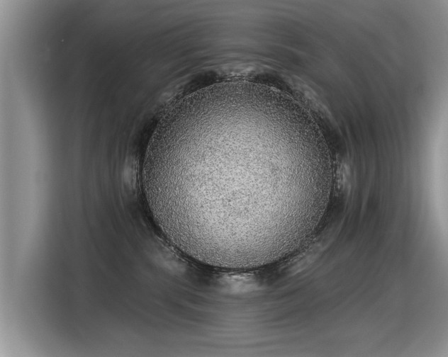 X0000115360283200911101203