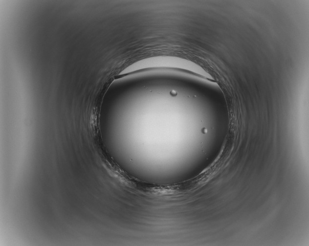 X0000115360284200911101203