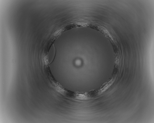 X0000115360285200911101203
