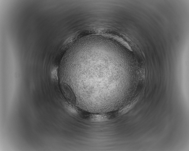 X0000115360286200911101203