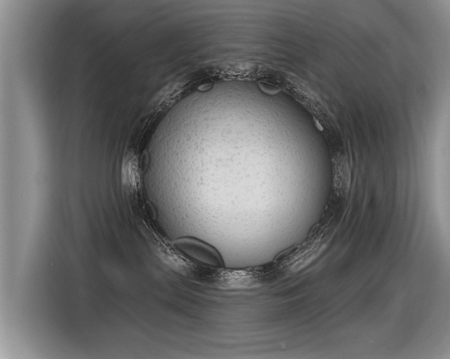 X0000115360287200911101203