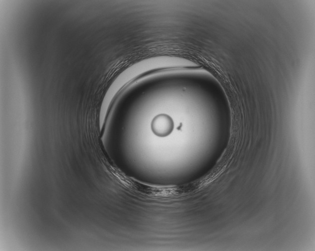 X0000115360288200911101203