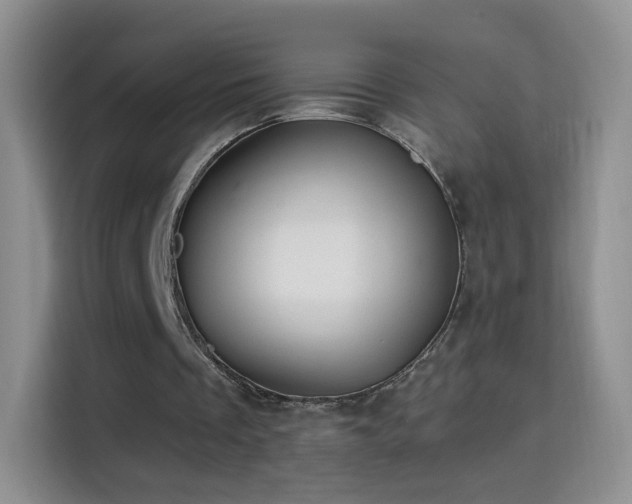 X0000115360289200911101202