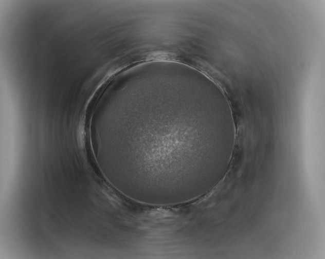 X0000115360290200911101202